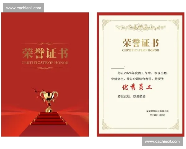 全国赛事优秀成绩比赛荣誉证书标准模板设计标题通用规范展示方案