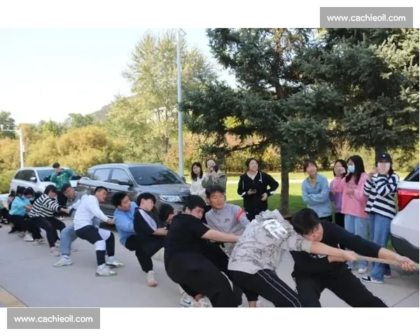 凝心聚力奋勇争先展现团队精神的拔河比赛精彩介绍活动全景解读