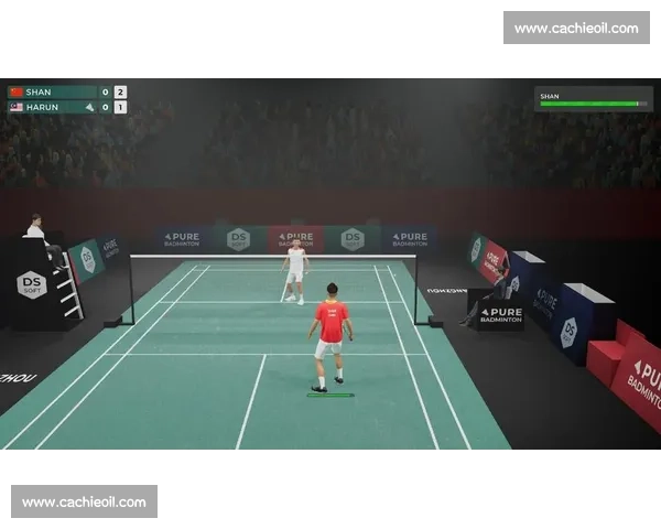 全民竞技视角下羽毛球比赛游戏的策略乐趣与沉浸体验探索创新玩法