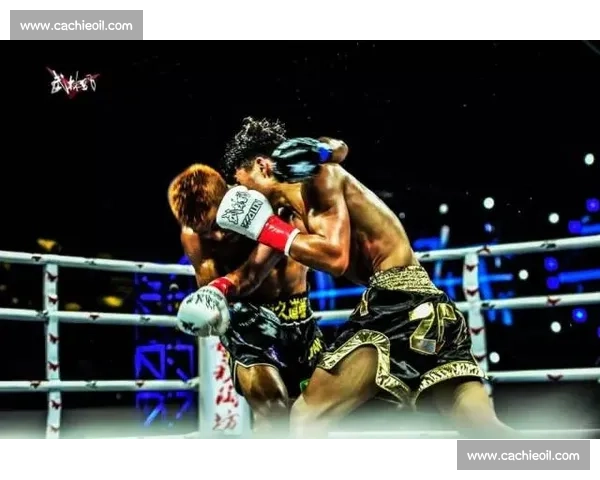 武林风拳击比赛点燃热血对决展现中国搏击新时代群雄竞技荣耀赛场