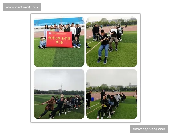 拔河比赛的激情与团结：共同奋进铸就胜利的力量