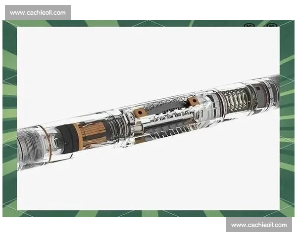 梅威瑟嘴炮比赛背后的心理博弈与拳坛商业秀真相全景解析深度影响