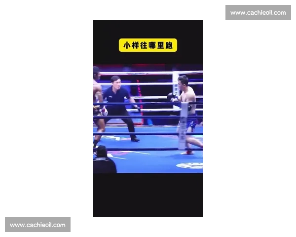 播求最新比赛回顾，硬碰强敌展现传奇拳王统治力与赛场细节引爆热议