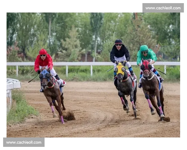 高速马球比赛视频解析攻防节奏与骑手协作魅力全景呈现