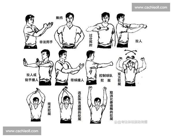 篮球比赛规则图解全面解析从场地到犯规的实战指南新手到进阶裁判通用