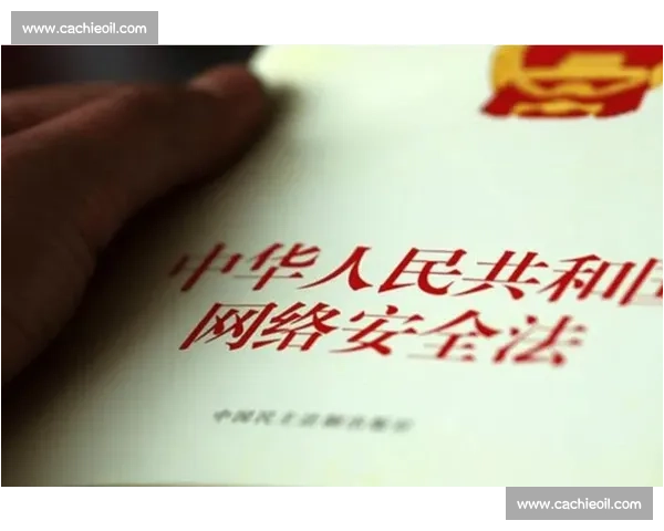 足球比赛前中后安全与规则注意事项全面指南运动员裁判观众必读