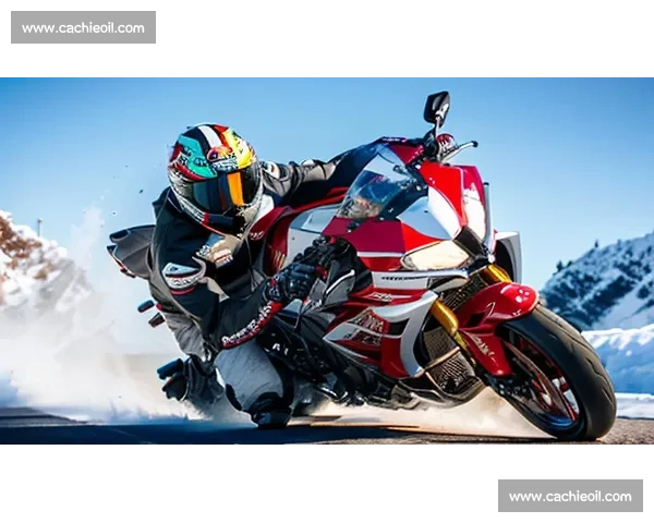 刺激与速度的碰撞 全球顶级赛车赛事精彩纷呈等你来见证