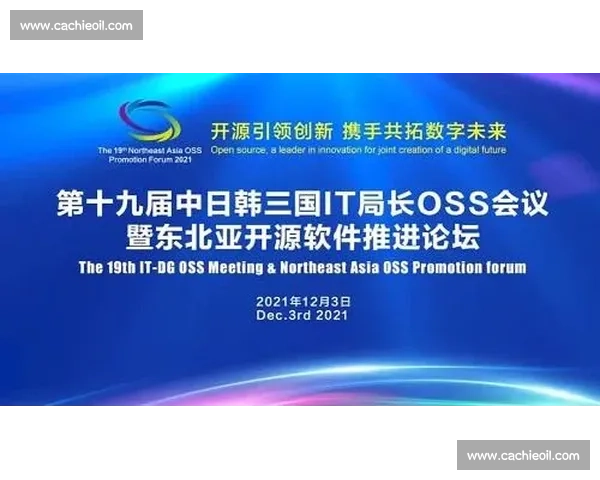 以赛事引领发展激发活力推动创新协作与社会进步的关键作用综合价值 以赛事引领发展激发活力推动创新协作与社会进步的关键作用综合价值