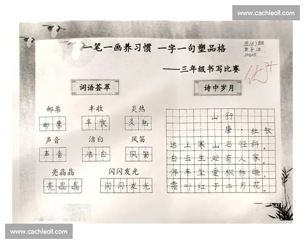 以规范书写为核心的校园书写比赛整体方案与展示设计创新实施路径研究 以规范书写为核心的校园书写比赛整体方案与展示设计创新实施路径研究